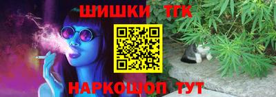 дживик Пенза