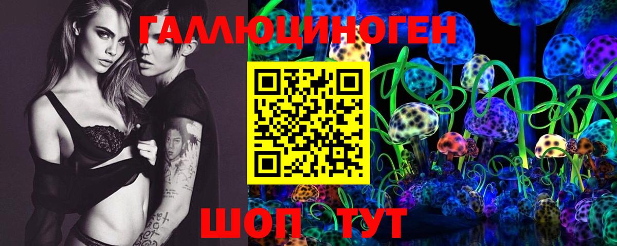 Ульяновск  Псилоцибиновые грибы Psilocybine cubensis  Вход с VPN 
