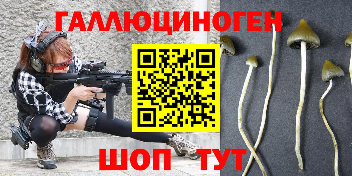 Галлюциногенные грибы Psilocybe Ульяновск
